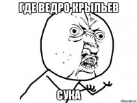 где ведро крыльев сука