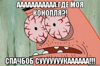 ааааааааааа где моя конопля?! спачбоб сууууууукаааааа!!!