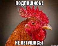 подпишись! не петушись!