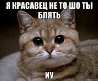 я красавец не то шо ты блять иу