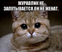 журавлик не запутывается.он не женат. 