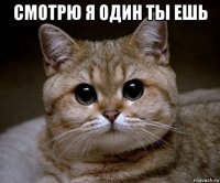 смотрю я один ты ешь 