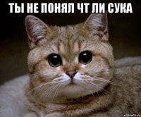 ты не понял чт ли сука 