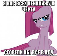 я вас всех ненавижу к черту сгорели вы все в аду