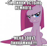 - эй, пинки остынь немного. - меня зовут пинкамина !!!