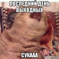 последний день выходных сукааа