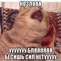 козлова ууууууу бляяяяяя бесишь сил нетууууу