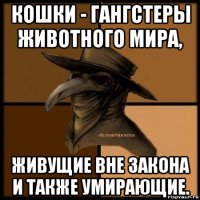 кошки - гангстеры животного мира, живущие вне закона и также умирающие.