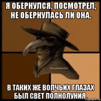 я обернулся. посмотрел, не обернулась ли она. в таких же волчьих глазах был свет полнолуния.