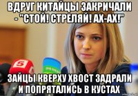 вдруг китайцы закричали - "стой! стреляй! ах-ах!" зайцы кверху хвост задрали и попрятались в кустах