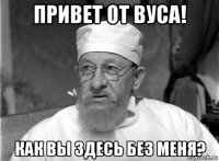 привет от вуса! как вы здесь без меня?