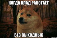 когда влад работает без выходных