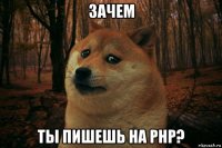 зачем ты пишешь на php?