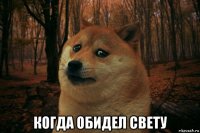  когда обидел свету