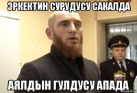 эркектин сурудусу сакалда аялдын гулдусу апада