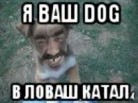 я ваш dog в ловаш катал