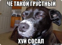 че такой грустный хуй сосал