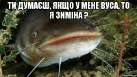 ти думаєш, якщо у мене вуса, то я зиміна ? 