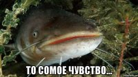  то сомое чувство...
