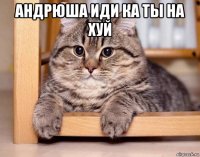 андрюша иди ка ты на хуй 