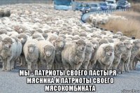  мы - патриоты своего пастыря = мясника и патриоты своего мясокомбината