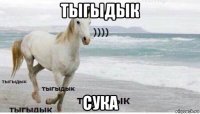 тыгыдык сука