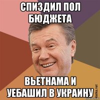 спиздил пол бюджета вьетнама и уебашил в украину