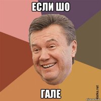 если шо гале