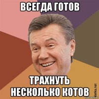 всегда готов трахнуть несколько котов