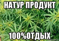 натур продукт 100%отдых