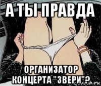 а ты правда организатор концерта "звери"?