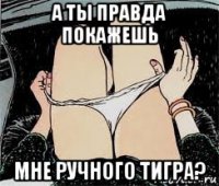 а ты правда покажешь мне ручного тигра?