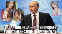  какая пшеница — путин пожары тушит! мейнстрим в другом углу…