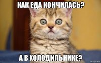 как еда кончилась? а в холодильнике?