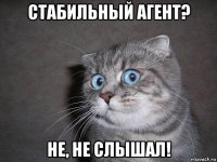 стабильный агент? не, не слышал!