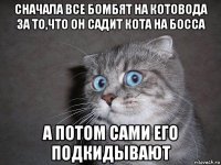 сначала все бомбят на котовода за то,что он садит кота на босса а потом сами его подкидывают