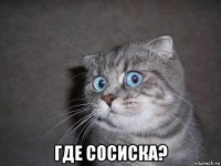  где сосиска?