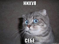 нихуя себе