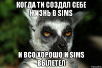 когда ти создал себе жизнь в sims и всо хорошо и sims вылетел