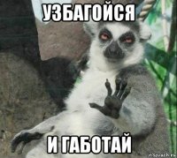 узбагойся и габотай