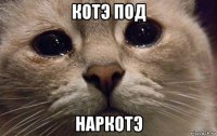 котэ под наркотэ