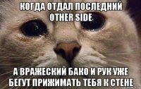 когда отдал последний other side а вражеский бако и рук уже бегут прижимать тебя к стене