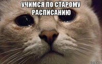 учимся по старому расписанию 