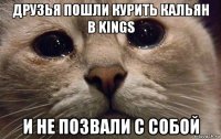 друзья пошли курить кальян в kings и не позвали с собой