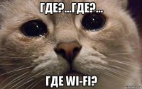 где?...где?... где wi-fi?