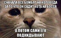 сначала все бомбят на котовода за то,что он садит кота на босса а потом сами его подкидывают