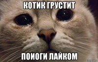 котик грустит поиоги лайком