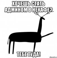 хочешь стать админом в некафе? тебе туда!