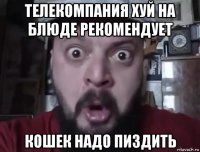 телекомпания хуй на блюде рекомендует кошек надо пиздить