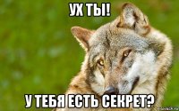 ух ты! у тебя есть секрет?